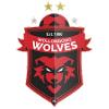臥龍崗狼隊